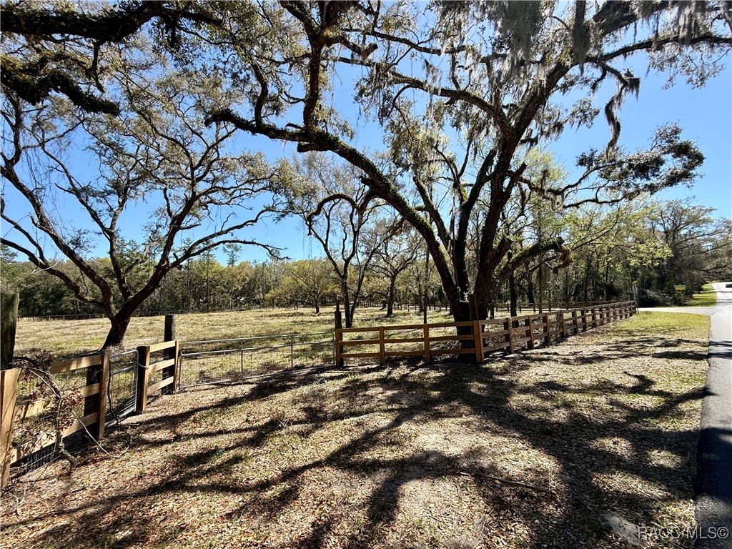 2172 E Dearborn Drive, Hernando, Florida image 4