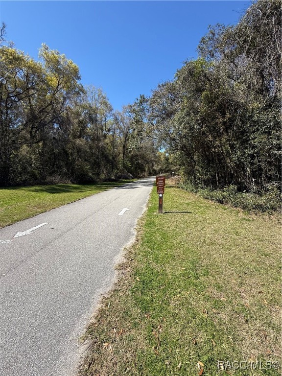 2172 E Dearborn Drive, Hernando, Florida image 9