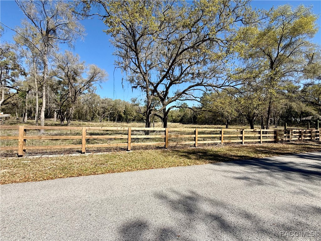2172 E Dearborn Drive, Hernando, Florida image 1