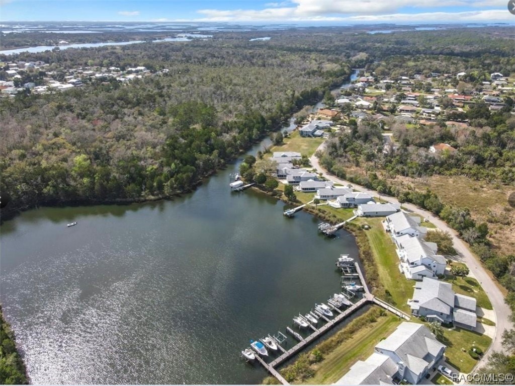 11035 W Harbor Watch Loop, Crystal River, Florida image 12