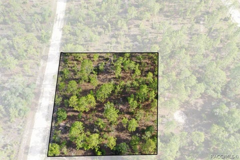 Vacant Land For Sale - 0000 NE 132nd Lot 2 Terrace<br/> Levy County, Williston, FL 32696