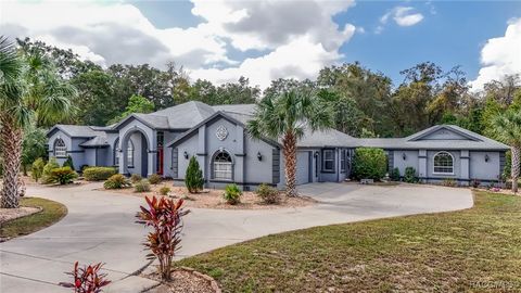 A home in Hernando