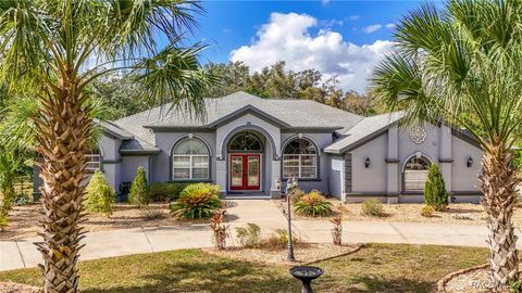 A home in Hernando