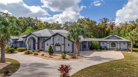 A home in Hernando