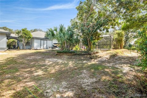 A home in Hernando