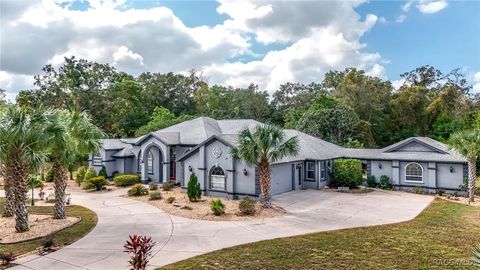 A home in Hernando