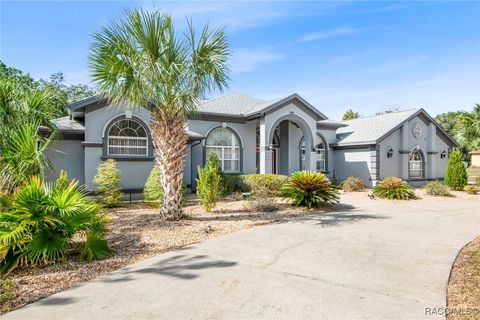 A home in Hernando