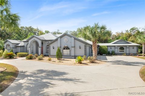 A home in Hernando