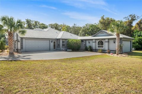 A home in Hernando