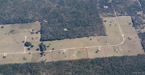 11230 S Brightstar Avenue Floral City FL 34436