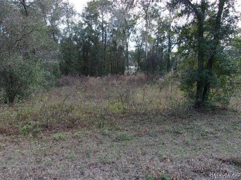 Vacant Land For Sale - 6700 E Haynes Lane<br/> Citrus County, Inverness, FL 34452