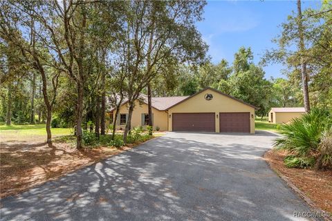 3202 N Buckhorn Drive Beverly Hills FL 34465