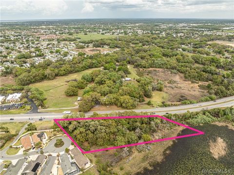Vacant Land For Sale - 8769 E County Road 466 Road<br/> Lady Lake, FL 32159