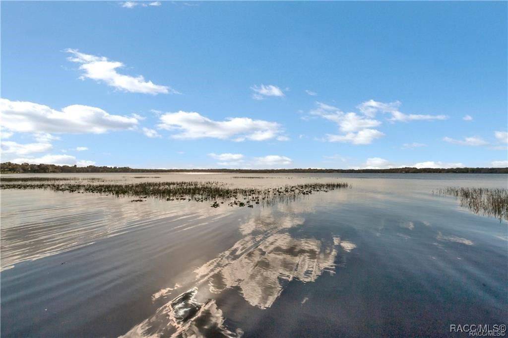 3184 N Edward Island Point, Hernando, Florida image 29
