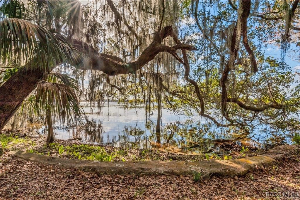 3184 N Edward Island Point, Hernando, Florida image 26