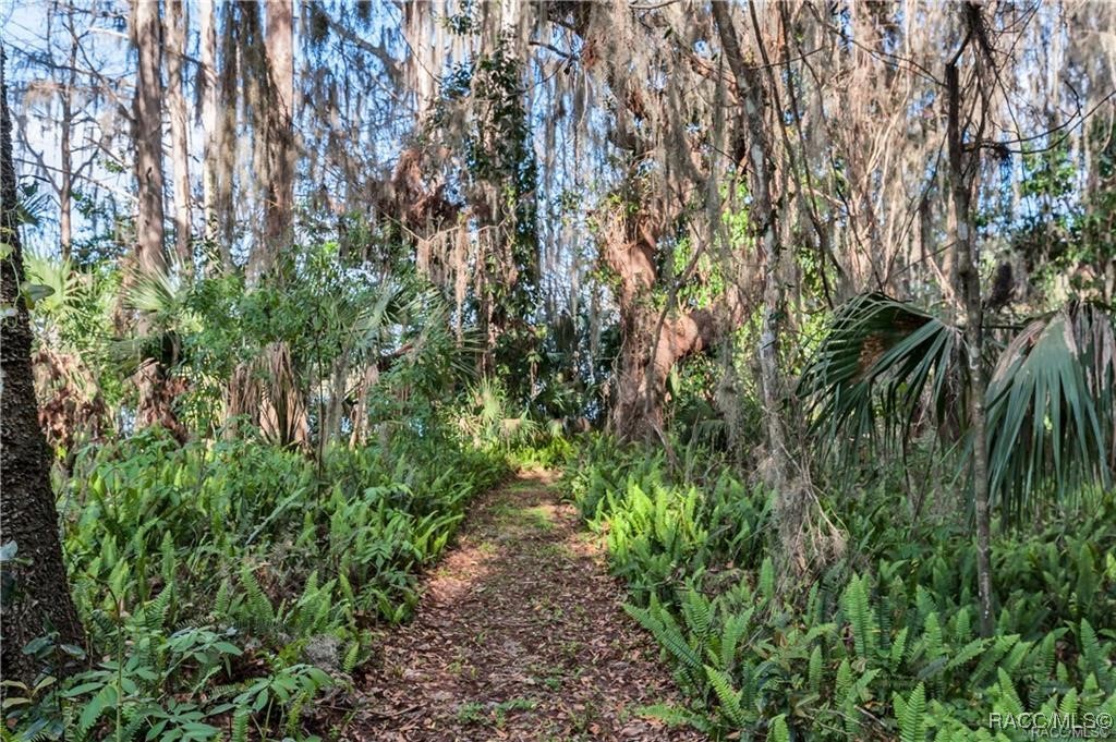 3184 N Edward Island Point, Hernando, Florida image 25