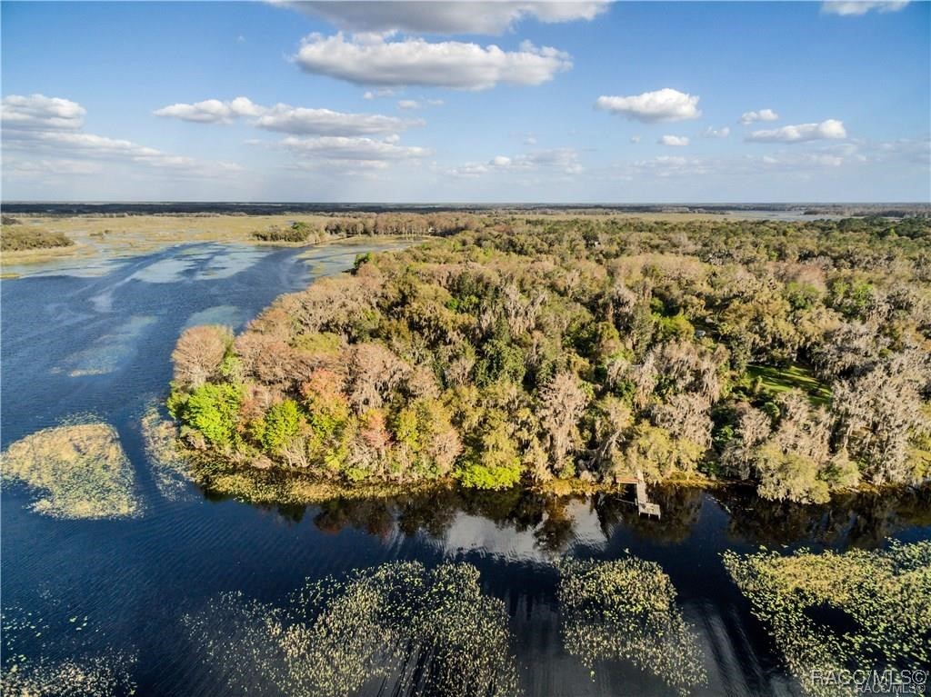 3184 N Edward Island Point, Hernando, Florida image 34