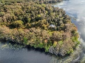 3184 N Edward Island Point, Hernando, Florida image 3