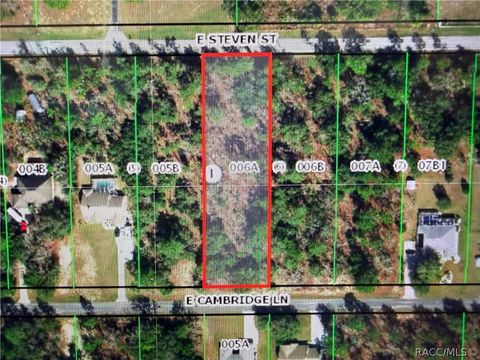 Vacant Land For Sale - 2155 E Cambridge Lane<br/> Inverness, FL 34453