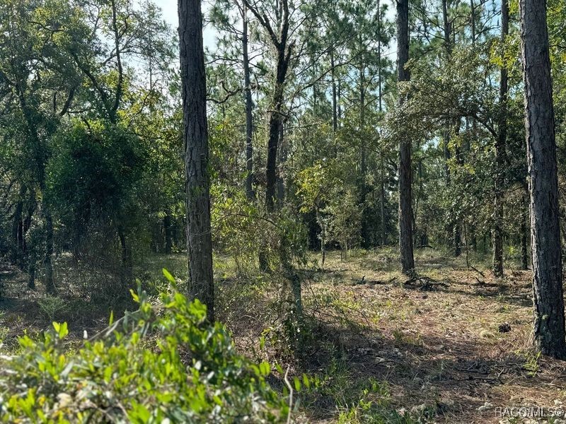 00 SW Neptune Boulevard, Dunnellon, Florida image 11