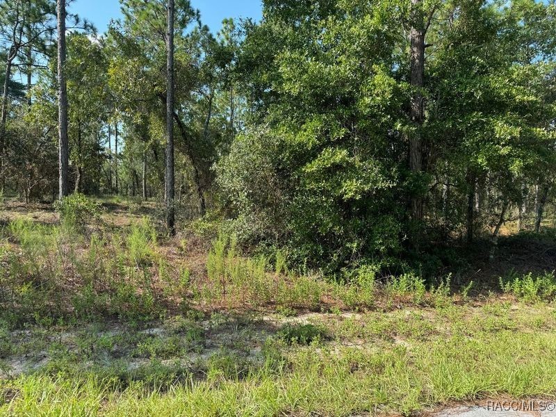 00 SW Neptune Boulevard, Dunnellon, Florida image 3