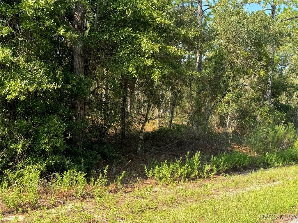 00 SW Neptune Boulevard, Dunnellon, Florida image 1