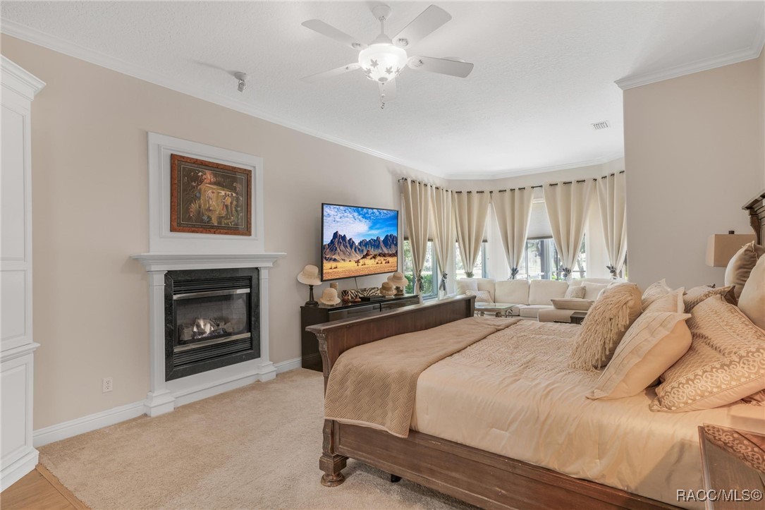 2583 N Troon Path, Lecanto, Florida image 27
