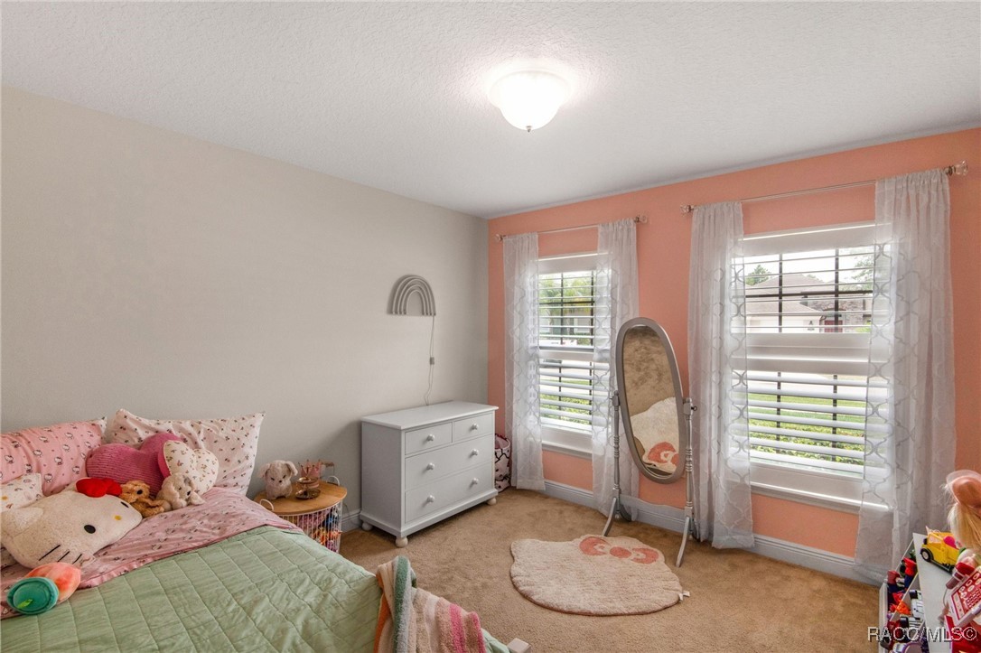 119 Red Maple Burl Circle, Debary, New York image 42
