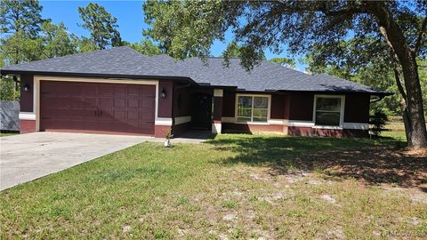 4889 N Peppermint Drive Beverly Hills FL 34465