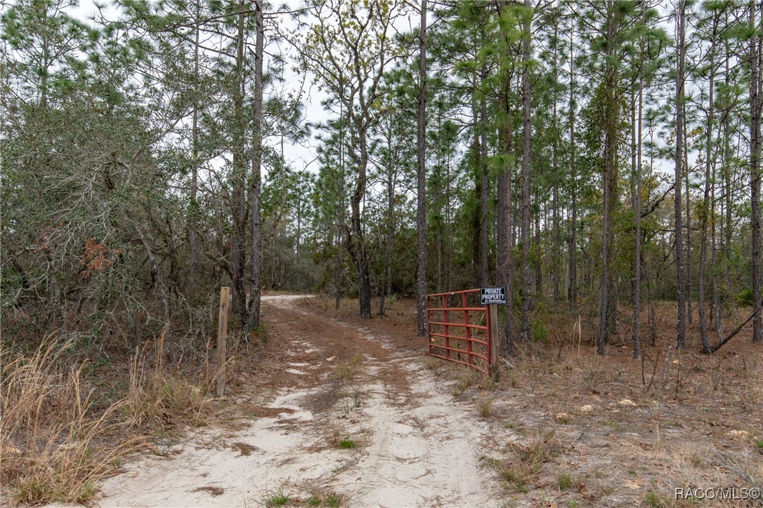 3057 W Scooter Lane, Dunnellon, Florida image 3