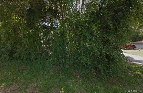 Vacant Land For Sale - 6856 E Red Robin Lane<br/> Citrus County, Inverness, FL 34452