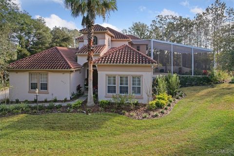 2257 N Hickory Glen Point Hernando FL 34442