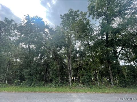 Vacant Land For Sale - 6534 Kent Street<br/> Inverness, FL 35542