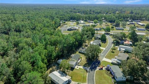 A home in Dunnellon