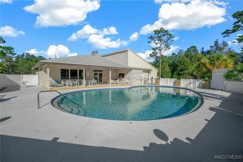 A home in Dunnellon