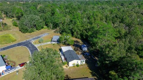 A home in Dunnellon