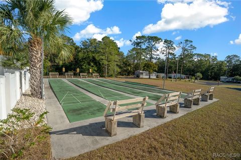 A home in Dunnellon