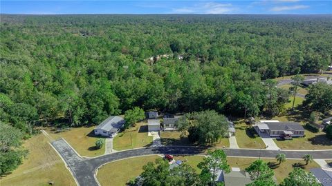 A home in Dunnellon