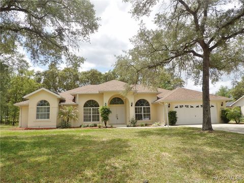 1544 E Allegrie Drive Inverness FL 34453