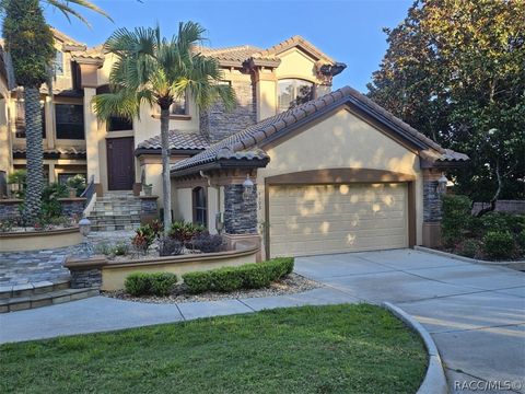 1103 W Pointe Vista Path A4 Hernando FL 34442