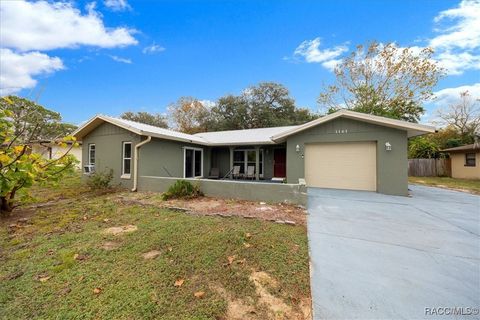 Condo For Sale - 1161 N Van Nortwick Road<br/> Lecanto, FL 34461