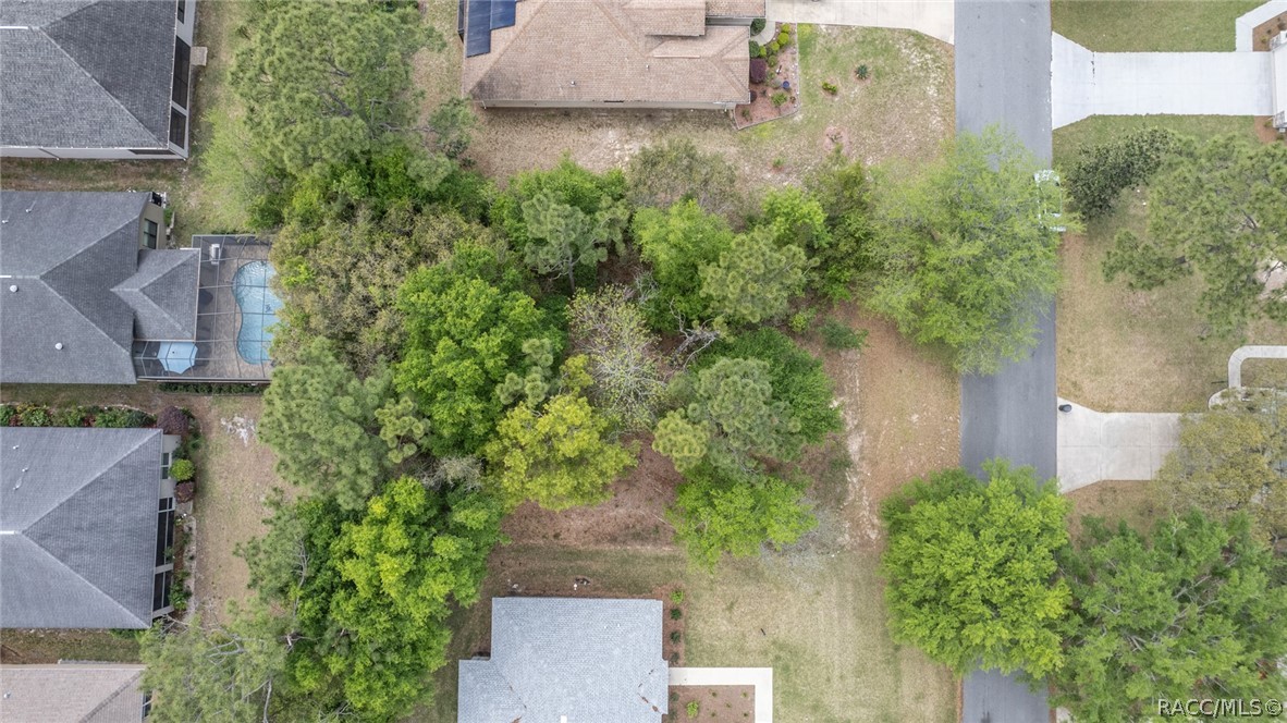 2477 N Brentwood Circle, Lecanto, Florida image 8