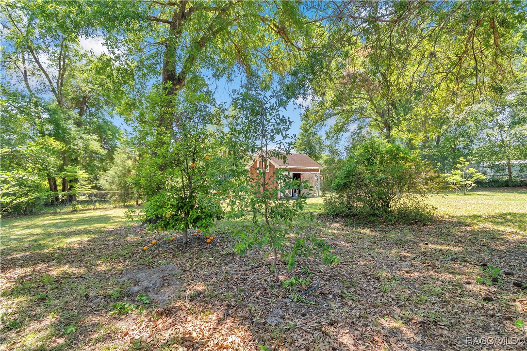 8082 SW 103rd Lane, Ocala, New York image 34