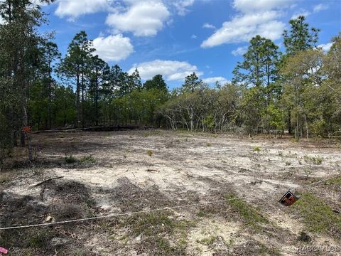 Vacant Land For Sale - 10848 SE 131 Terrace<br/> Dunnellon, FL 34431