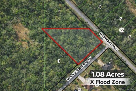 Vacant Land For Sale - 8292 N Black Cherry Terrace<br/> Crystal River, FL 34428