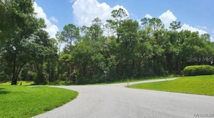 00 SW 192nd Circle, Dunnellon, Florida image 1