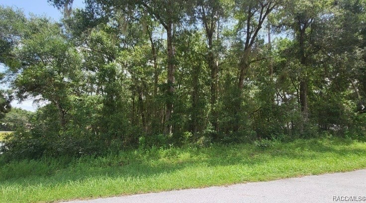 00 SW 192nd Circle, Dunnellon, Florida image 3