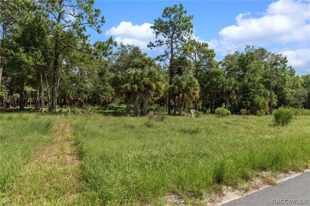 13707 W Foss Groves Path