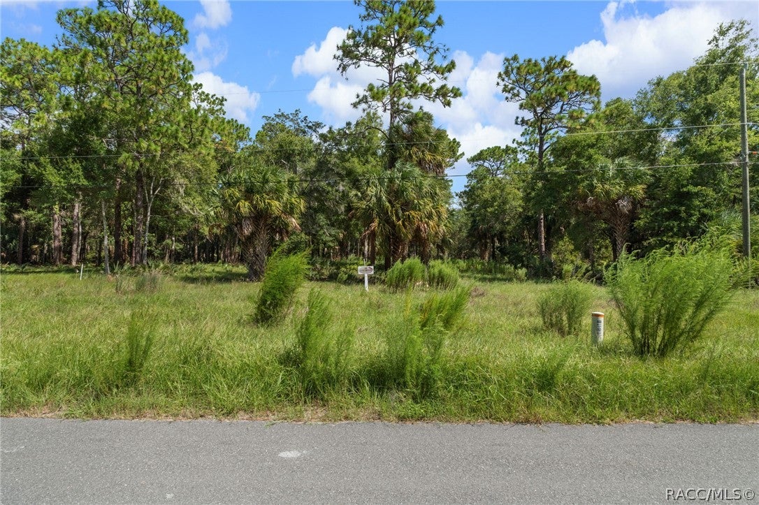 13707 W Foss Groves Path