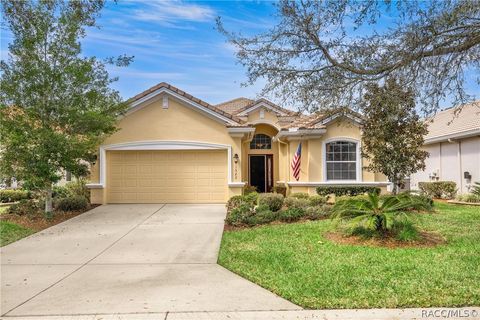 1323 W Skyview Crossing Drive Hernando FL 34442